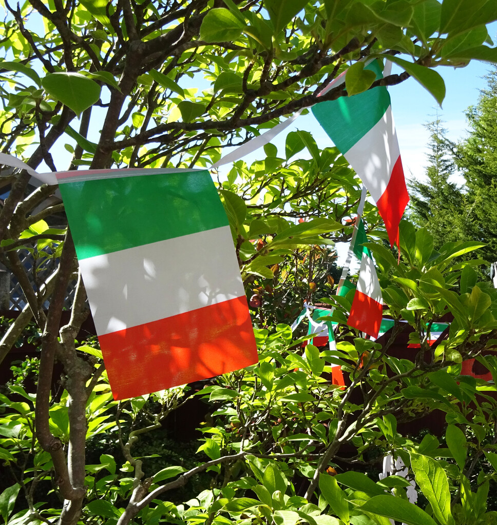 An Italian themed garden party to celebrate a friend's 75th birthday. by marianj