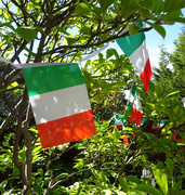 10th Jul 2022 - An Italian themed garden party to celebrate a friend's 75th birthday.