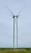 12th Jul 2022 - Wind energy is so wild!