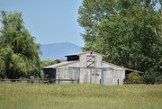 11th Jul 2022 - Rural Montana Scene