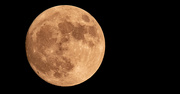 12th Jul 2022 - Almost Full Moon!
