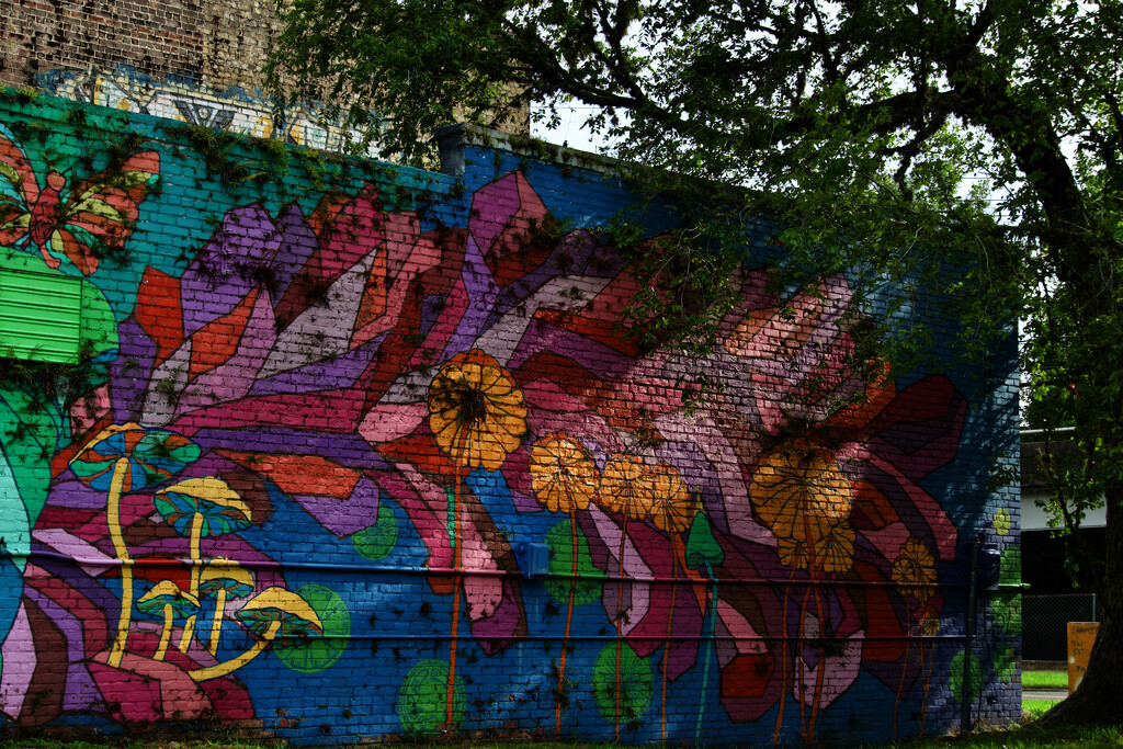 Urban flowers by eudora
