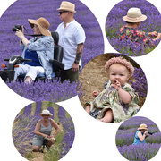 13th Jul 2022 - Another day and another lavender field