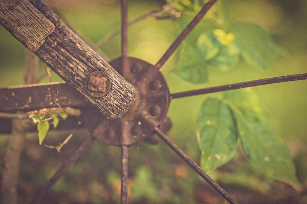 Rusty old wheel by pamalama