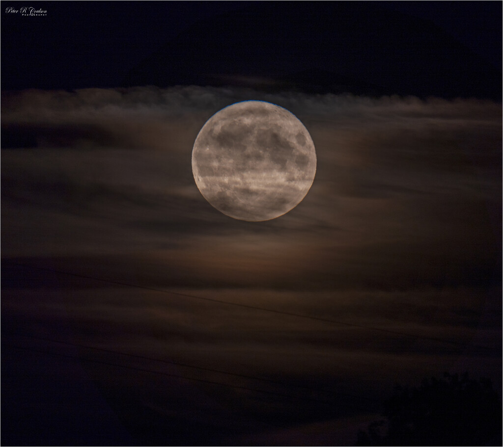 Supermoon by pcoulson