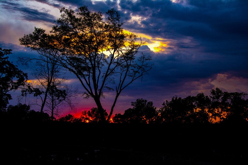 Beautiful Sunset by cwbill