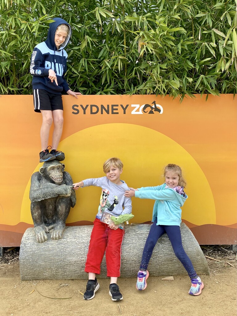 Sydney Zoo by kjarn