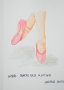 14th Jul 2022 - dancing shoes