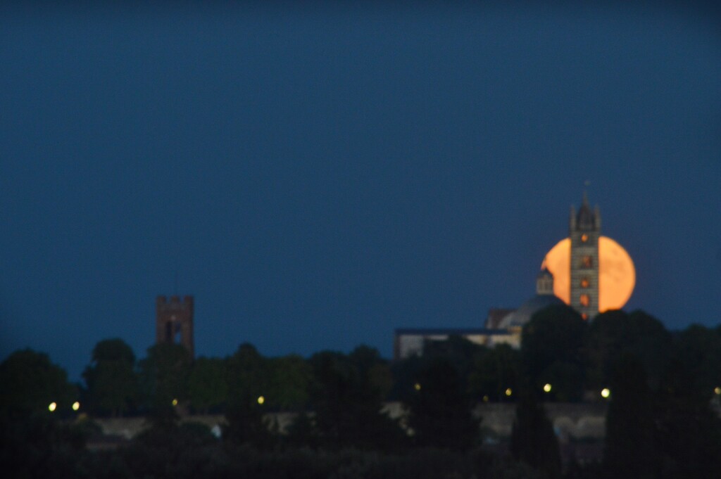 The rising of the supermoon behind the tower of the cathedral  by caterina