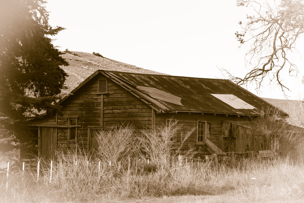 Old shed on the way south to National Park by creative_shots