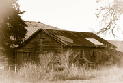 6th Jun 2022 - Old shed on the way south to National Park