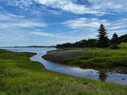 14th Jul 2022 - Pirate Creek, North Lubec, Maine