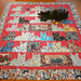 Cat Quilt Quality Check by helenw2