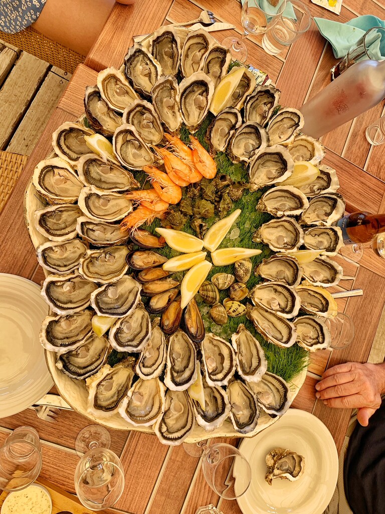 Big oysters party.  by cocobella
