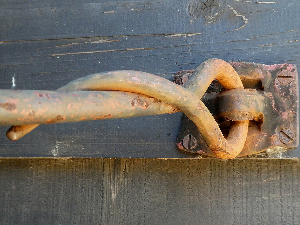 Rusty, Trusty Door Hook by 30pics4jackiesdiamond