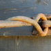 Rusty, Trusty Door Hook by 30pics4jackiesdiamond
