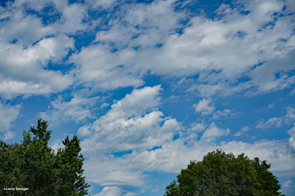 Hot summer day sky by larrysphotos