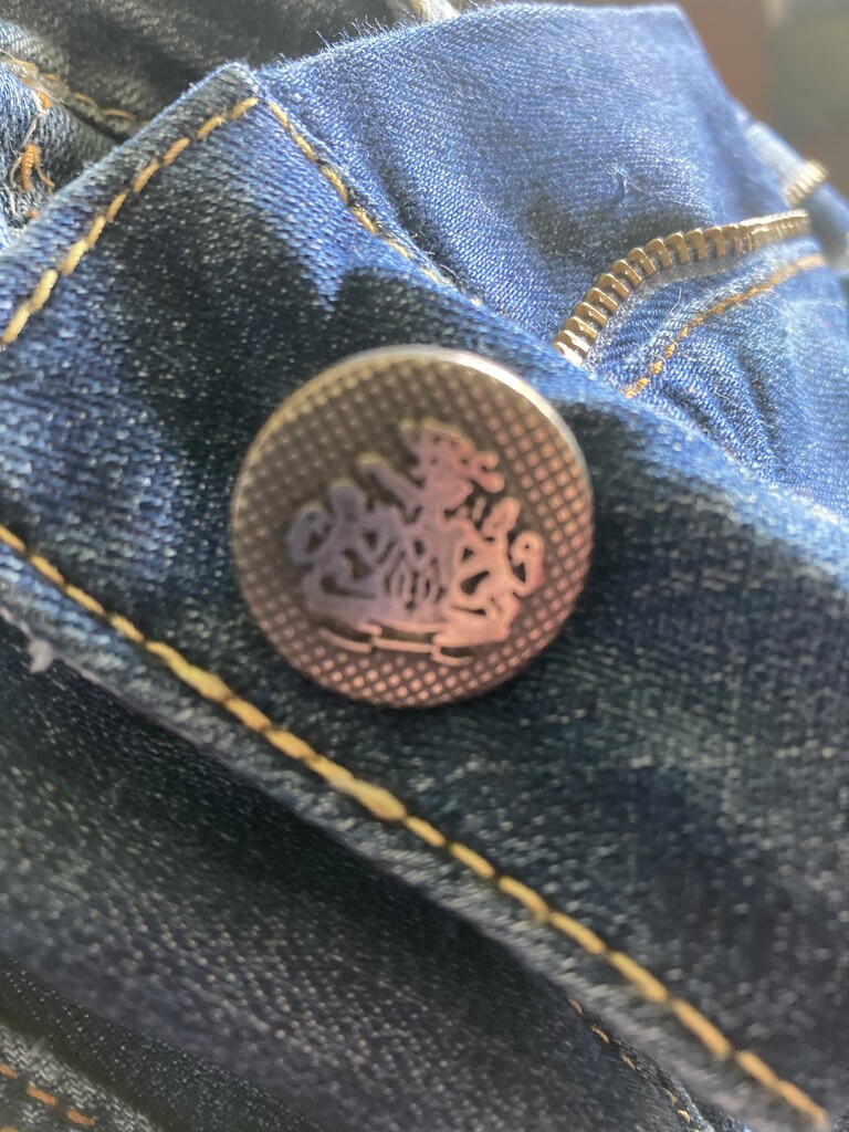 Button #7: On a Different Pair of Jeans by spanishliz