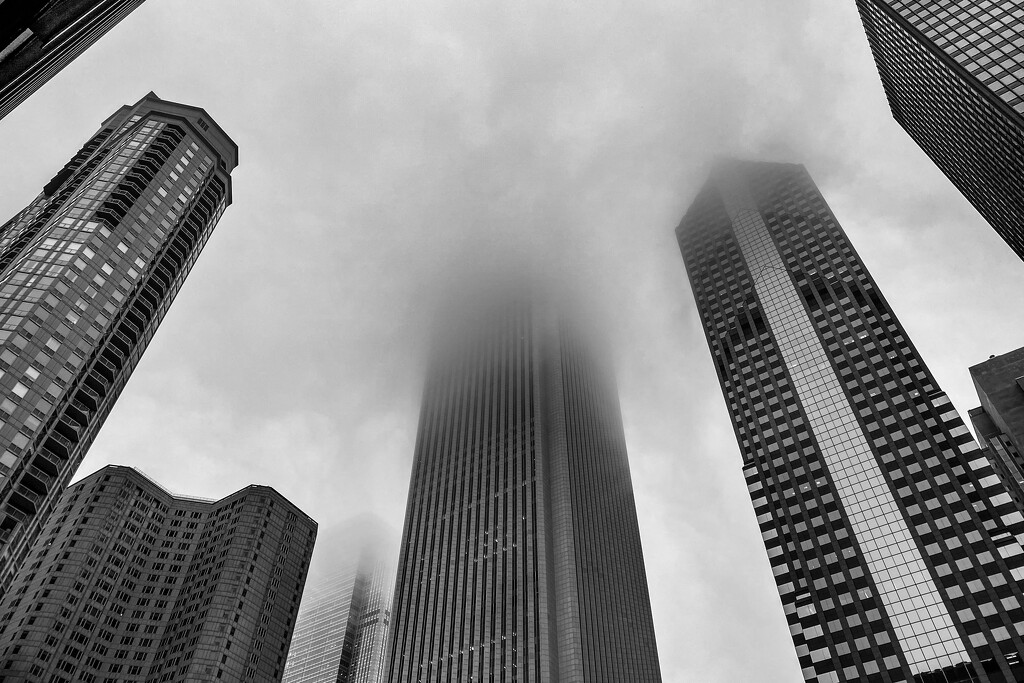 Chicago Fog by tina_mac
