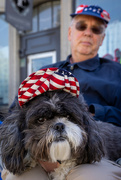 4th Jul 2022 - Doggie Attire for the Fourth of July Parade