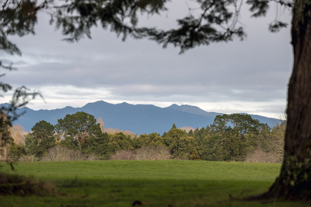 Looking across to Mount Pirongia by nickspicsnz