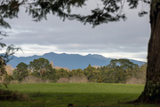 11th Jul 2022 - Looking across to Mount Pirongia