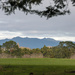 Looking across to Mount Pirongia by nickspicsnz