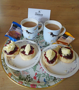 15th Jul 2022 - Cornish Cream Tea