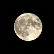 17th Jul 2022 - The moon earlier this week