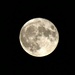 The moon earlier this week by mdaskin