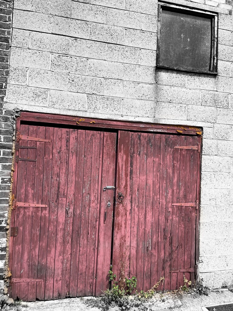 Old doors by bill_gk