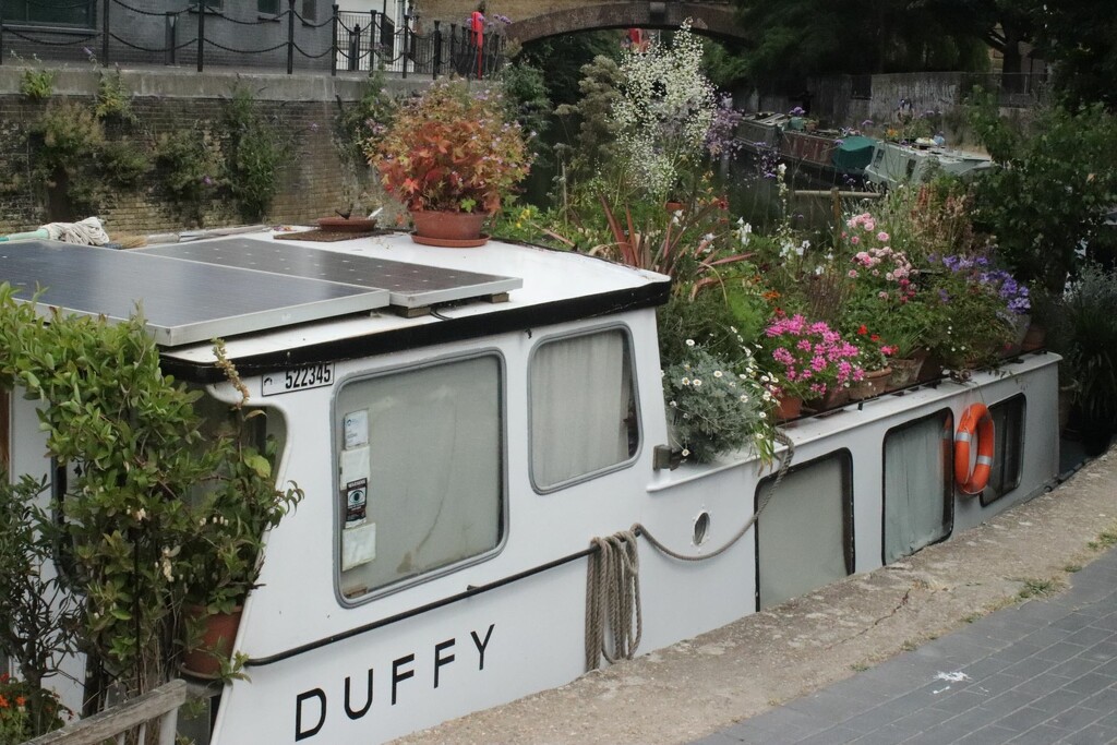 A floating garden with a Duffyrence by 365jgh