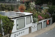 13th Jul 2022 - A floating garden with a Duffyrence