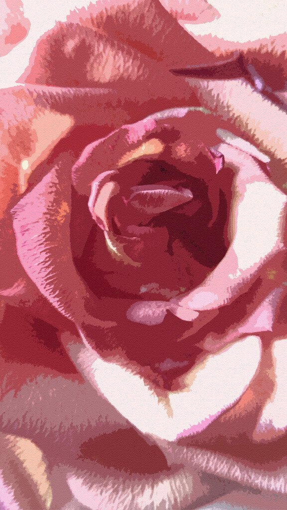 Pop art rose... by marlboromaam