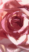 18th Jul 2022 - Pop art rose...