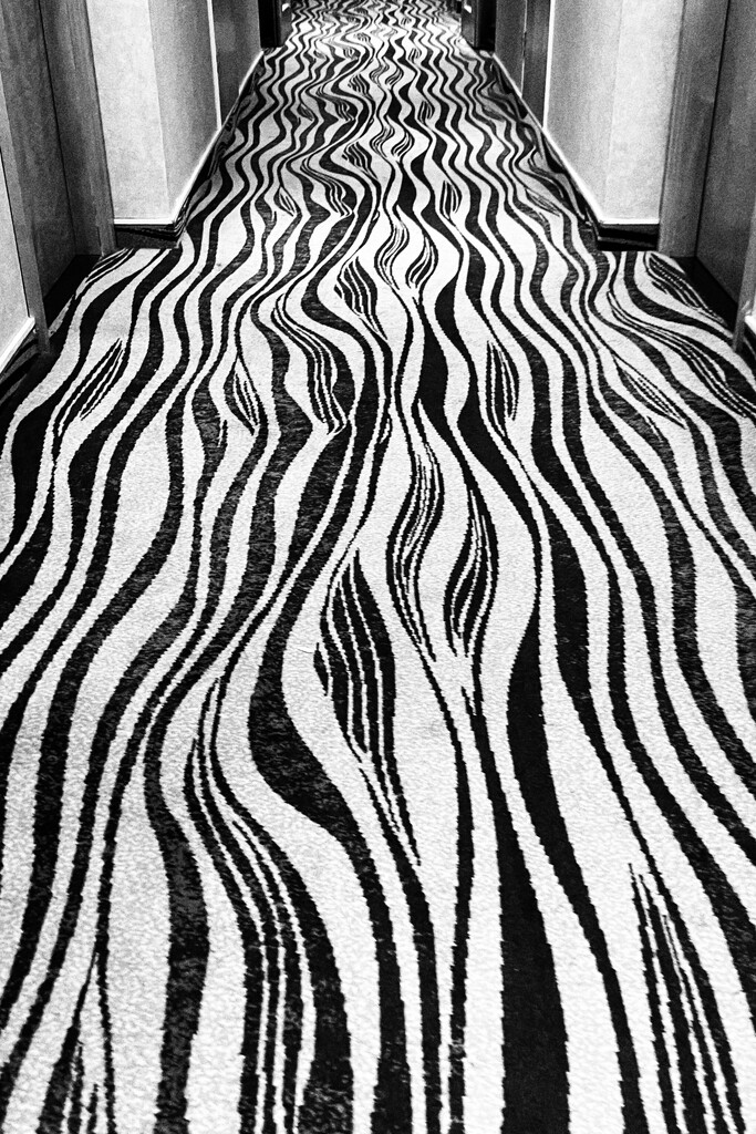 Horrid carpet! by gaillambert