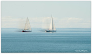 18th Jul 2022 - Sailing the Seven Sea's..