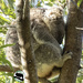 hiding her secrets by koalagardens