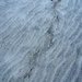 Bird tracks by jgpittenger