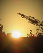 18th Jul 2022 - The sun setting on what has been one of the hottest days on record in the UK