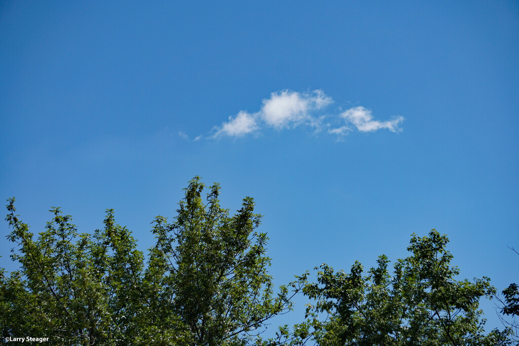 Blue sky hot temp by larrysphotos