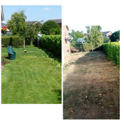 19th Jul 2022 - Front Garden 2019 and Today 2022