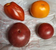 18th Jul 2022 - Heirloom Tomatoes 