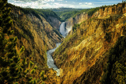 19th Jul 2022 - Grand Canyon of Yellowstone