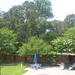 Backyard day 112 by patriciabanner