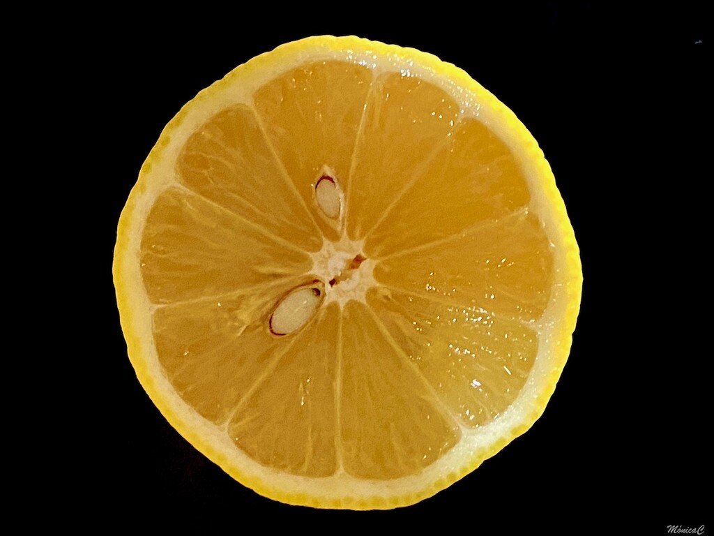 Lemon by monicac