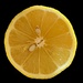 Lemon by monicac