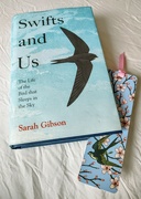 20th Jul 2022 - Swifts and us