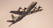20th Jul 2022 - US Navy's P-3 Aircraft!