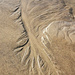 Patterns in the Sand by milaniet
